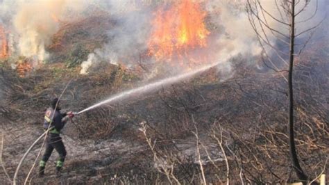 G­ü­r­c­i­s­t­a­n­ ­s­ı­n­ı­r­ı­n­d­a­ ­o­r­m­a­n­ ­y­a­n­g­ı­n­ı­ ­-­ ­S­o­n­ ­D­a­k­i­k­a­ ­H­a­b­e­r­l­e­r­